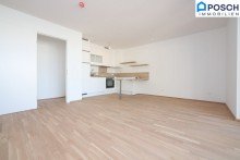  2 ZIMMER+GROSSER �berdachter BALKON+Gr�nblick+HOFRUHELAGE+WIE NEU+PAUSCHALMIETE+4 JAHRE FIX+INKL.HEIZUNG, DECKENK�HLUNG+TOP K�CHE