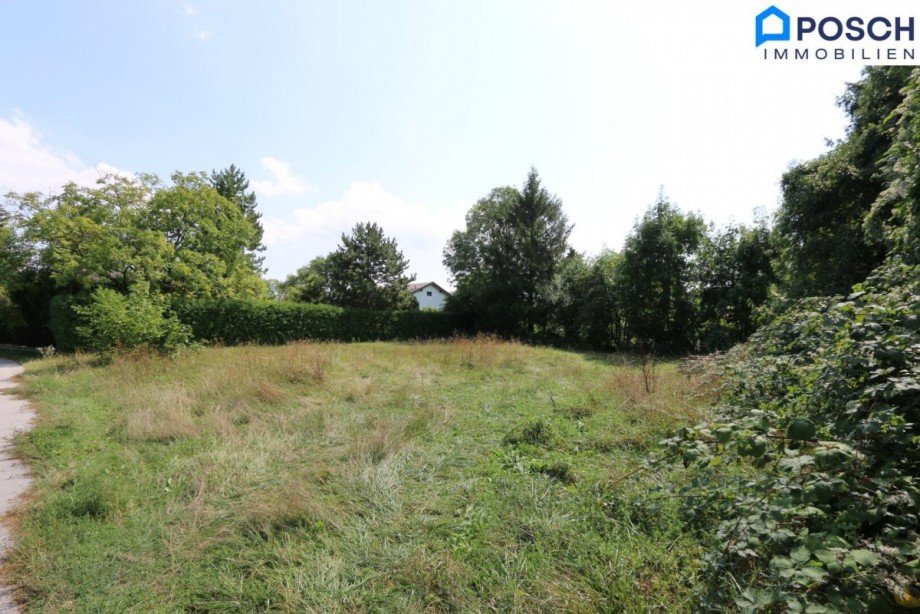  Wohngrundst�ck W�llersdorf-Steinabr�ckl