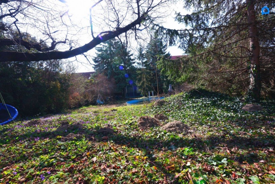  Wohngrundst�ck Wien