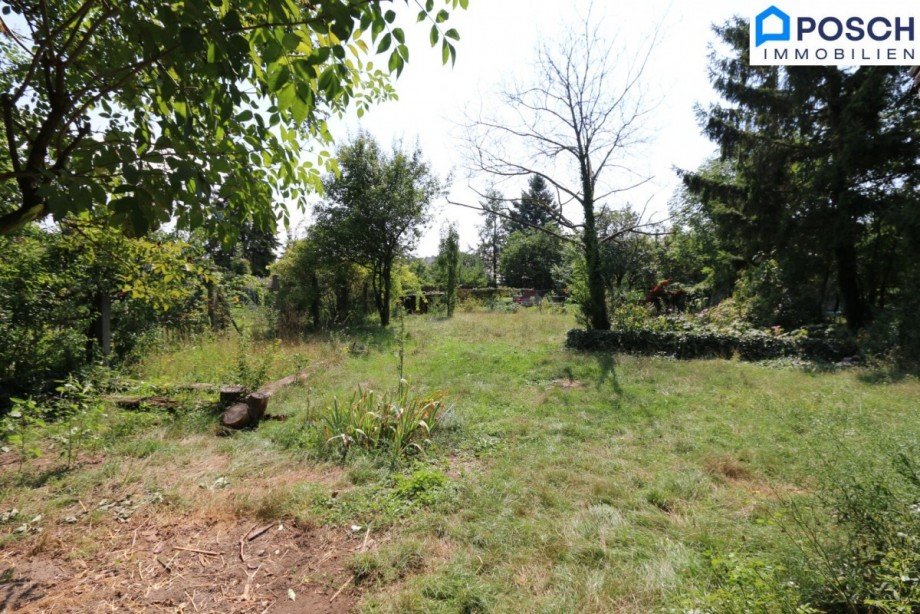 Wohngrundst�ck W�llersdorf-Steinabr�ckl