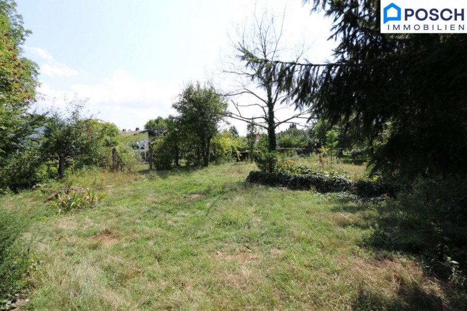  Wohngrundst�ck W�llersdorf-Steinabr�ckl