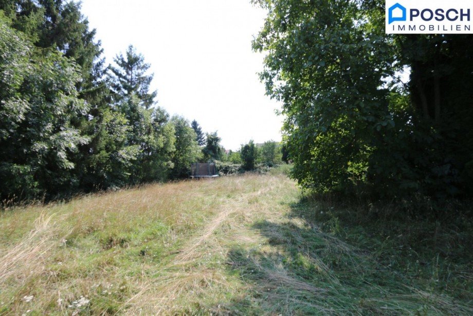  Wohngrundst�ck W�llersdorf-Steinabr�ckl