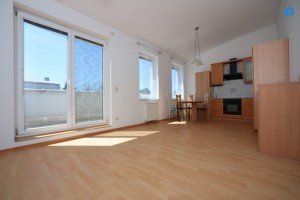 Hauptbild PENTHOUSE, hell, 2 Zimmer + 2 Terrassen u. Autoabstellplatz, S-BAHN , ca. 34 Minuten zum Praterstern. hohe Räume bis 3,40m!