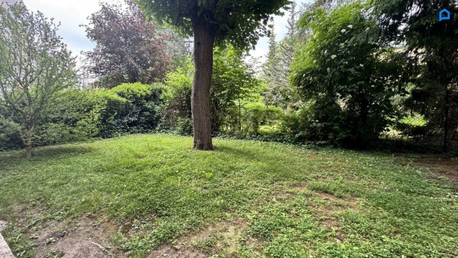  Etagenwohnung Wien,Hietzing