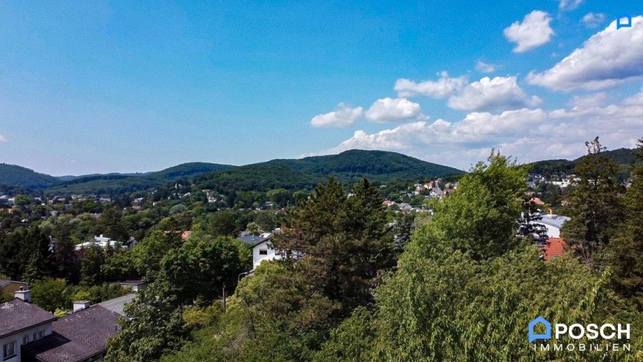 Blick mit Drohne Wohngrundst�ck Wien