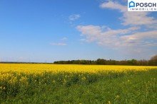 Umgebung Strasshof + NEUWERTIGST + 5 Zimmer * auf einer Ebene* ruhige Eckwohnung, *IC* WEST-Balkon/ Terrasse, Lift, Tiefgarage, barrierefrei, Ziegel-massiv, Ruhelage, Top Infrastruktur !!