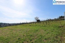 ! 4 Zimmer, Gro�z�gige Maisonette, in absoluter Gr�nruhelage, Balkon, Loggia, Tiefgaragenplatz !